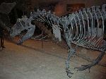 042_2009-0119-1128-57.jpg